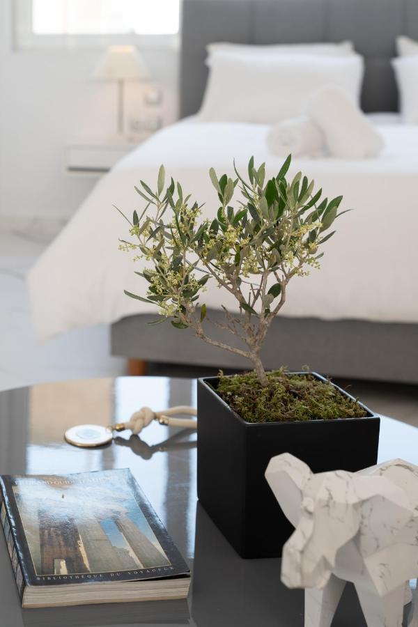 Olvar Suites Atenas Exterior foto
